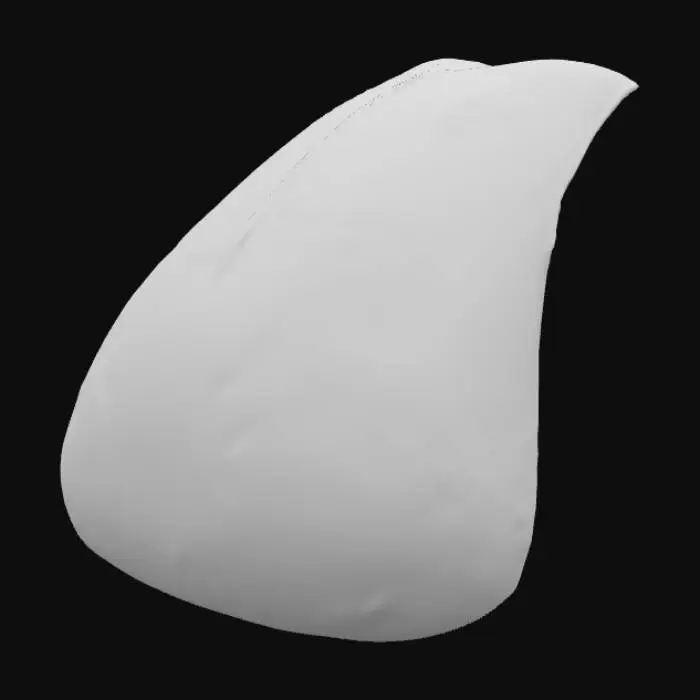 3D model for Tongue Illustration