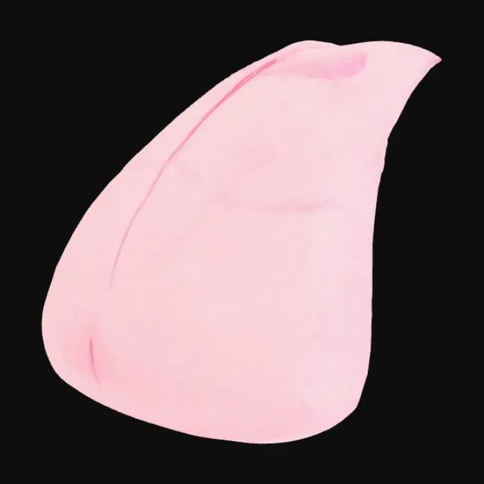 3D model for Tongue Illustration