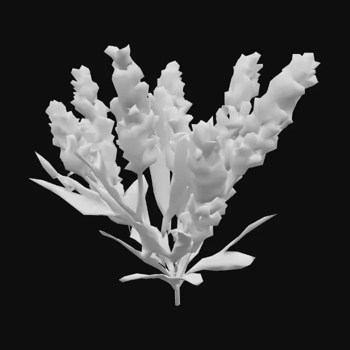 3D model for Lavender Blooms, #PBR#