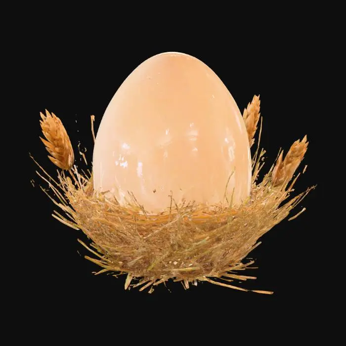 3D model for Egg in Nest