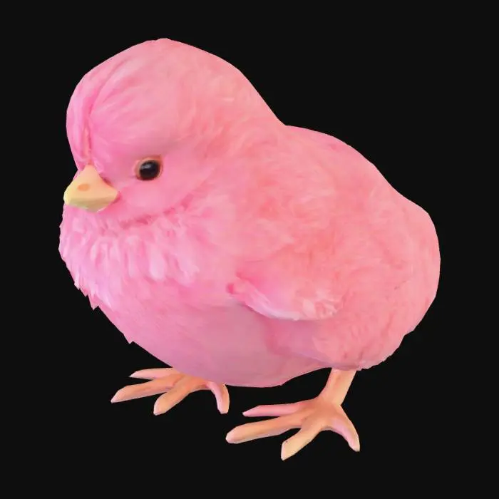 3D model for Pink Chick