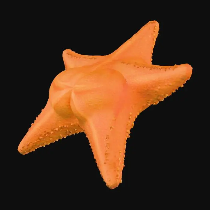 3D model for Starfish Surprise, #villain#