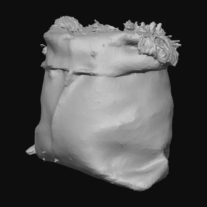 3D model for Burlap Bag of Herbs