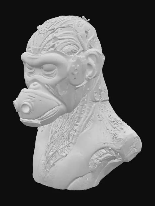 3D model for Cyber Primate