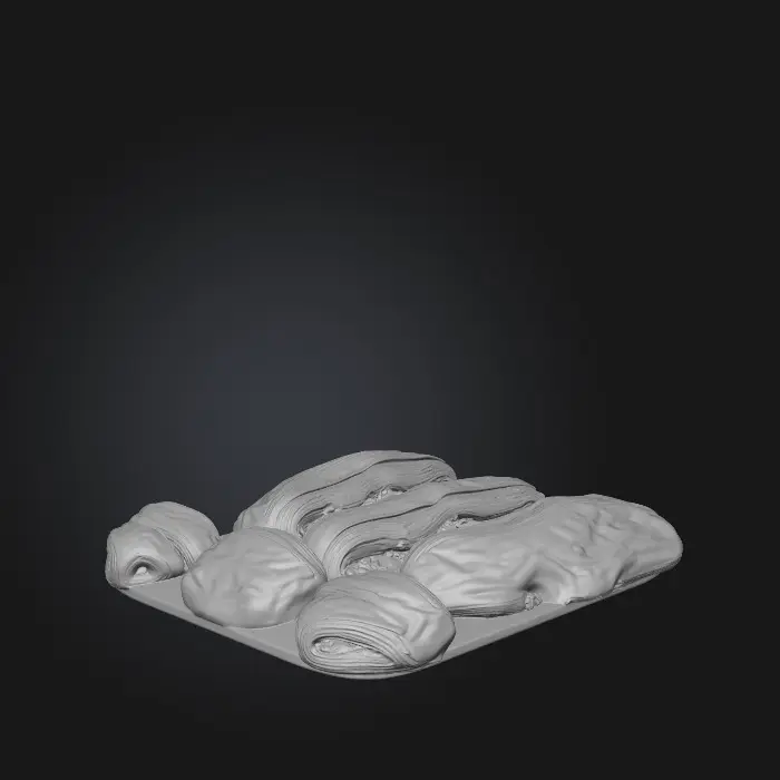 3D model for pain suisse