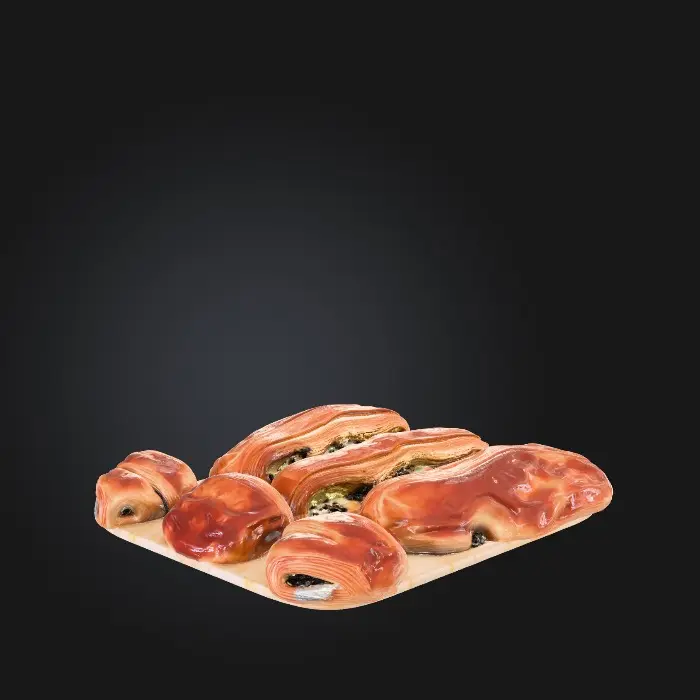 3D model for pain suisse