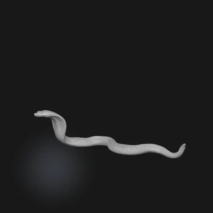 3D model for Cobra Fusion