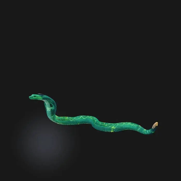 3D model for Cobra Fusion