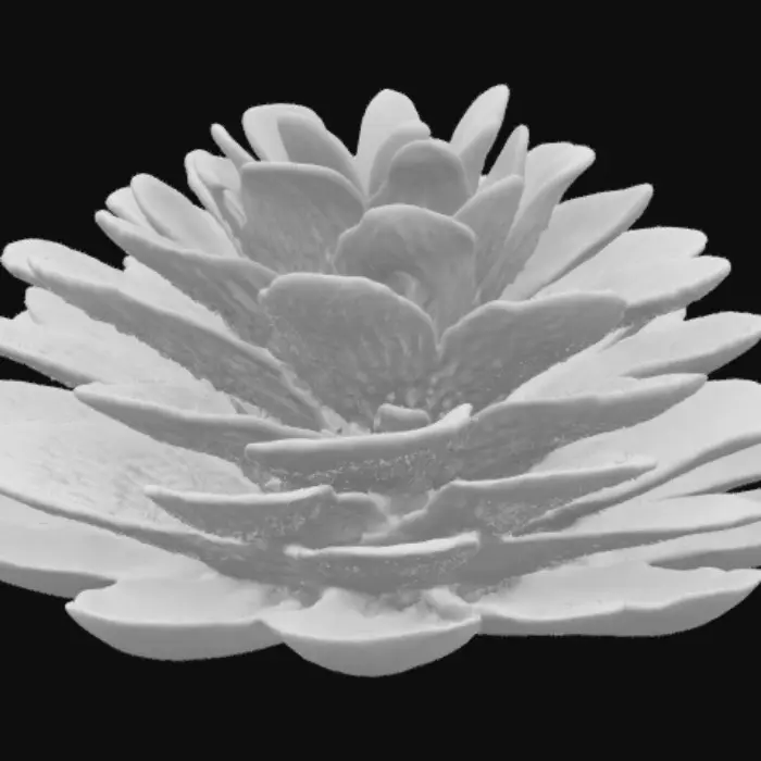 3D model for A cluster of oyster mushrooms adheres to rough bark, their fan-shaped caps fanning out in layered, overlapping shelves. Each cap boasts a smooth, slightly velvety surface, ranging in color from milky white to soft grey or pale tan, sometimes with a subtle pearlescent sheen. Distinct, delicate gills radiate across their pale undersides. The mushrooms appear pliable yet firm, their soft forms contrasting with the rugged, textured surface of the dark, craggy bark from which they emerge.