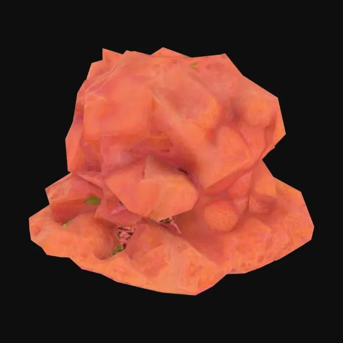 3D model for Microscopic zooxanthellae algae cells inside coral tissue, low poly, educational model
