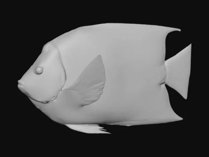 3D model for Regal Swimmer