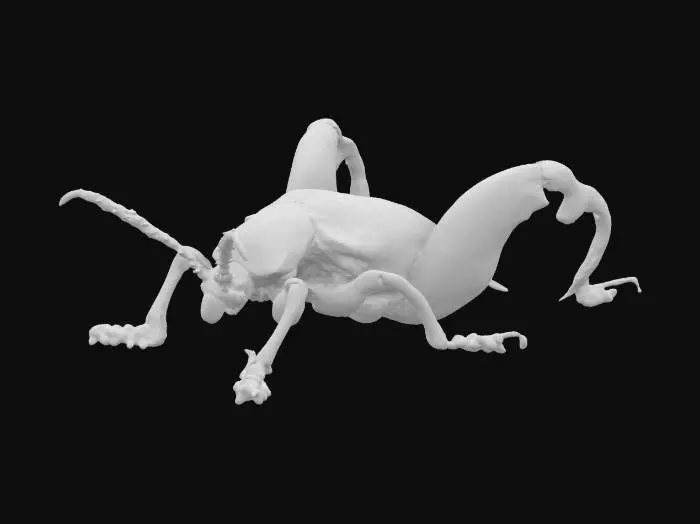 3D model for Iridescent Beetle Beauty