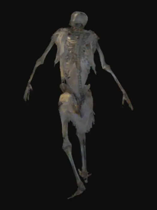 3D model for Crypt Mage