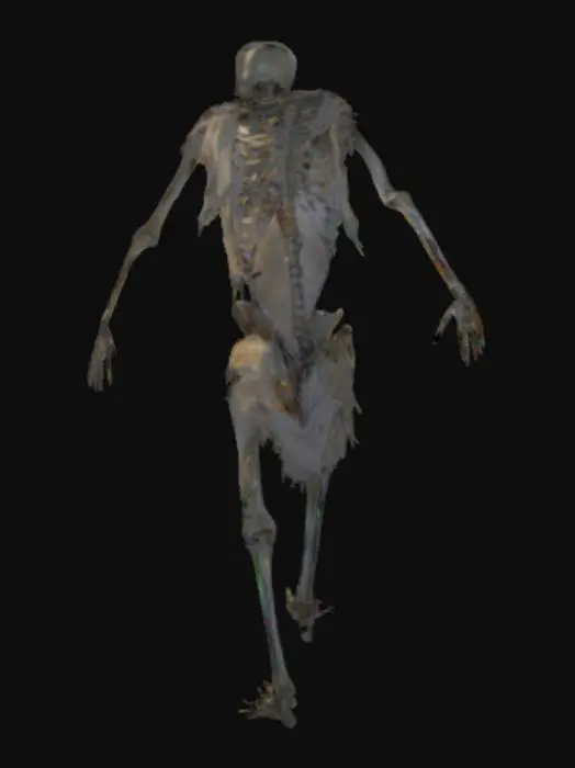 3D model for Crypt Mage