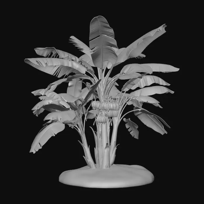3D model for Banana Tree on Transparent Background