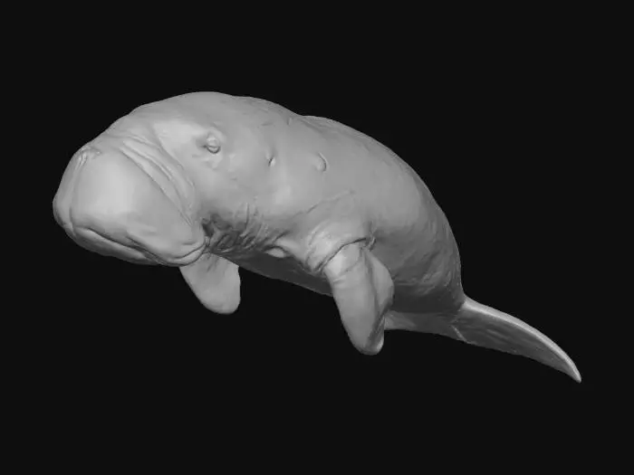 3D model for Sea Serenity