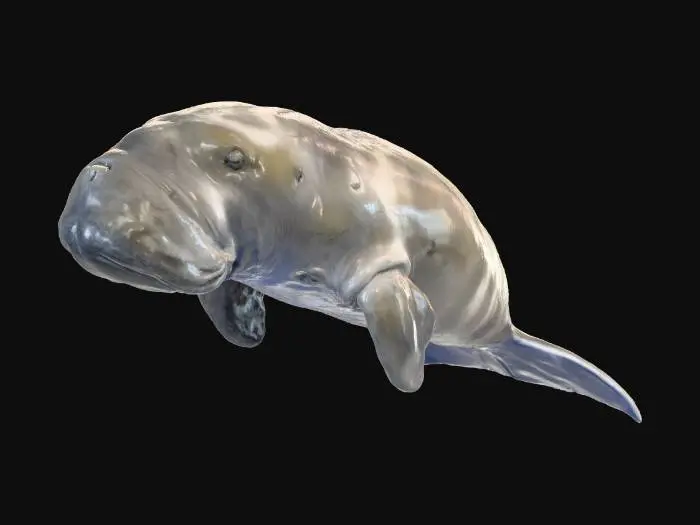 3D model for Sea Serenity