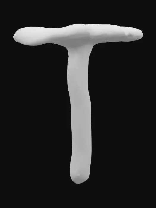 3D model for Mushroom Illustration, shield pinkgill