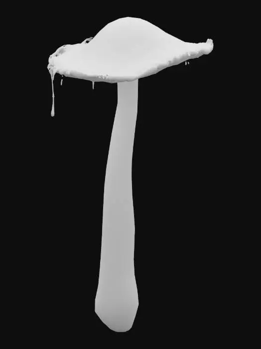 3D model for Mushroom Elegance, shaggy mane