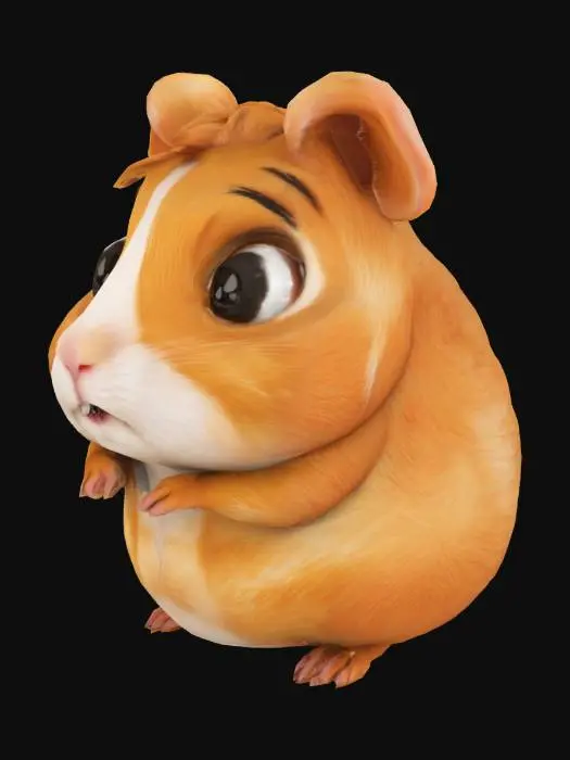 3D model for guinea pig

