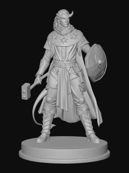 3D model for Paladin of the Arcane