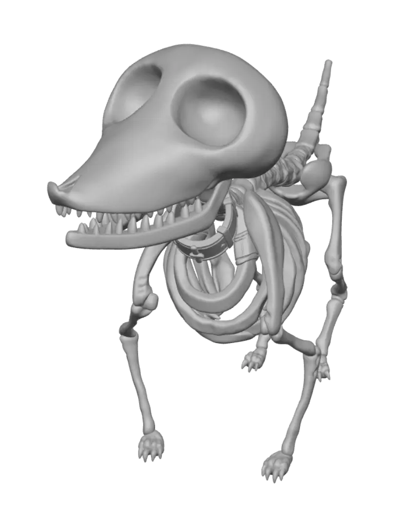 pup