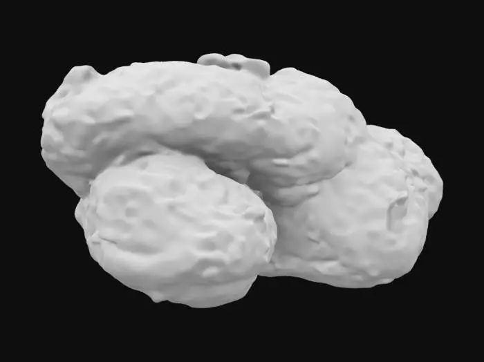 3D model for Crispy Delight