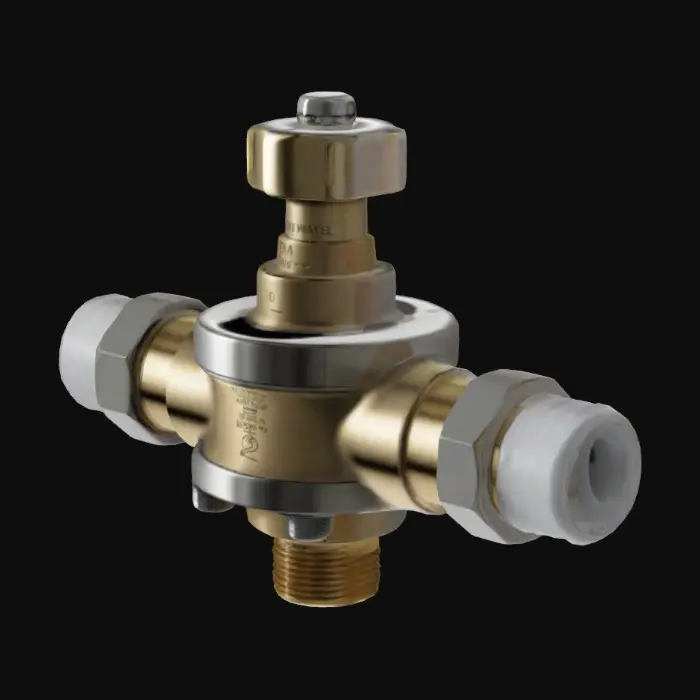 3D model for a thermostatic mixing valve with outputs on both sides