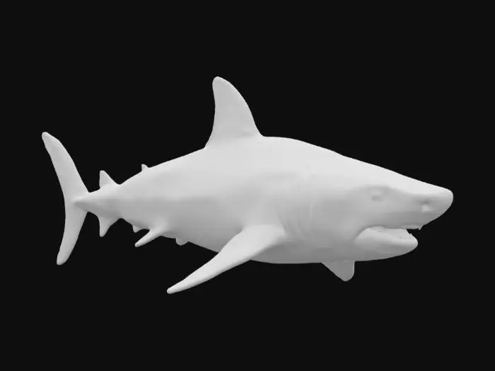 3D model for Ultra-detailed 3D model of a great white shark, full-body, anatomically correct. Smooth hydrodynamic body, detailed gills, sharp serrated teeth visible inside the open mouth, and highly realistic eyes with subtle reflections. Includes finely sculpted skin texture with scars, scratches, rough bumps, and variations in color on dorsal and ventral sides. High-resolution 8K PBR textures: albedo, roughness, normal, displacement, and specular. Clean UVs, watertight mesh, quad topology optimized for animation and cinematic underwater shots. Suitable for real-time and film-quality rendering., #ocean#