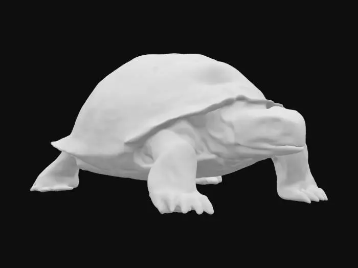 3D model for Ultra-detailed 3D model of an ancient, ultra-centenarian tortoise in a static pose. Weathered, cracked shell with subtle moss and earthy deposits. Thick, wrinkled skin with textured age folds and rough claws. Deep-set, wise eyes with detailed iris and expression. Positioned solidly on all fours, head slightly tilted forward. 8K PBR textures for shell, skin, and natural dirt. Cinematic lighting with soft shadows and warm highlights to emphasize realism. Clean UVs, watertight mesh, optimized for high-end rendering and game integration., #ocean#