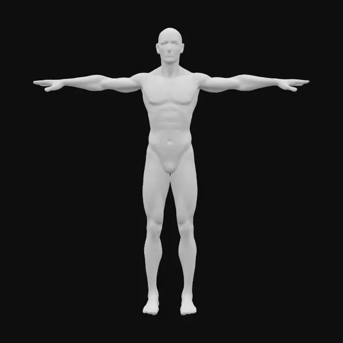 3D model for Ultra-detailed 3D model of a neutral anatomical male mannequin in T-pose. Full-body, accurate proportions, well-defined musculature and skeletal landmarks. Clean, symmetrical topology optimized for rigging and animation. Realistic surface structure with subtle skin pores and anatomical precision. Ideal for anatomical studies, rigging tests, and character base mesh development. Neutral matte material with smooth shader, 4K–8K PBR textures for skin surface and topology maps. High-poly sculpt with subdivision-ready mesh. Clean UV layout, watertight geometry, ready for game or cinematic use.