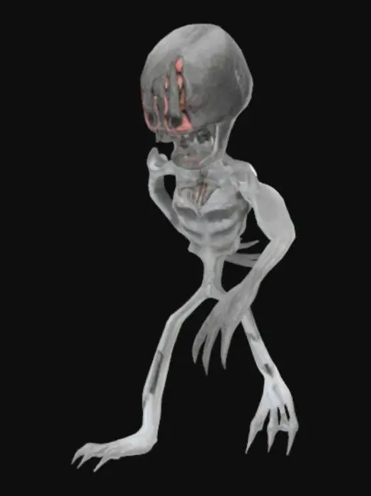 3D model for Experiment X-2011