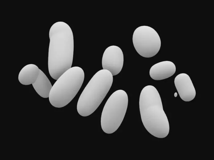 3D model for Microbial World