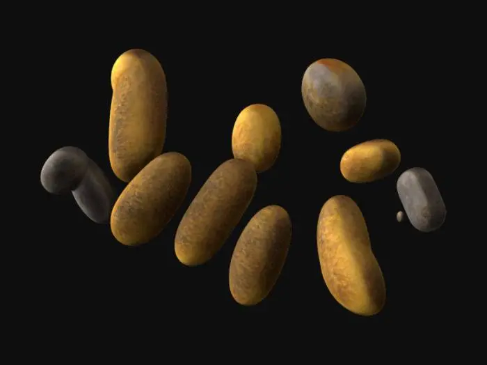 3D model for Microbial World