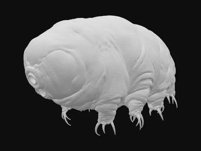 3D model for Tardigrade Titan