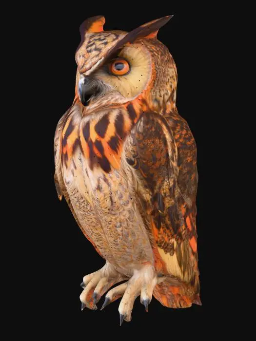 3D model for Eternal Gaze Amazing Owl