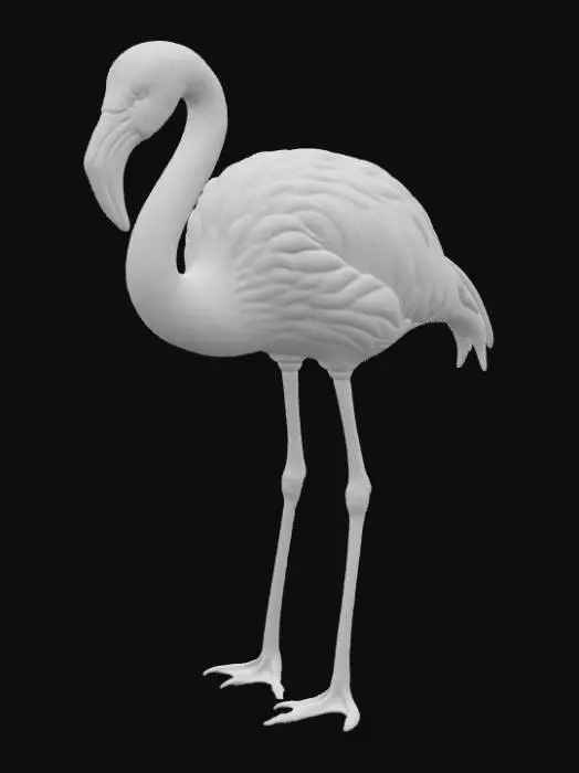 3D model for Flamingo Grace