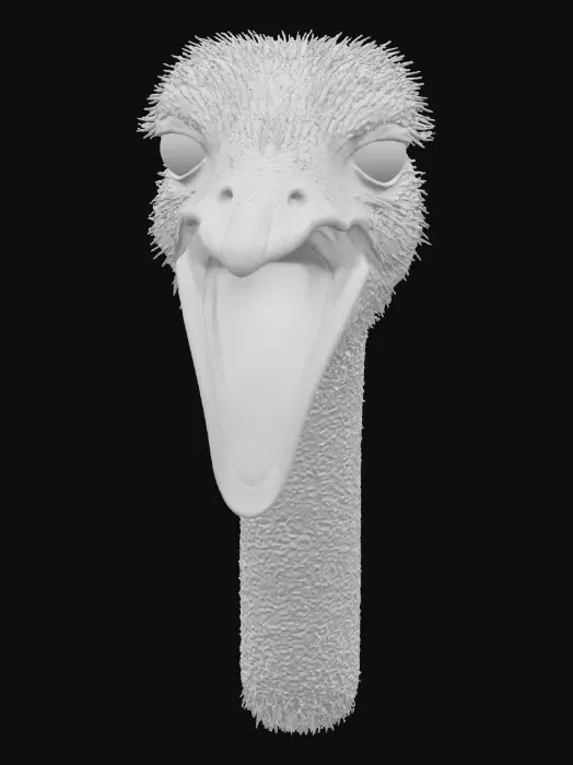 3D model for Expressive Ostrich