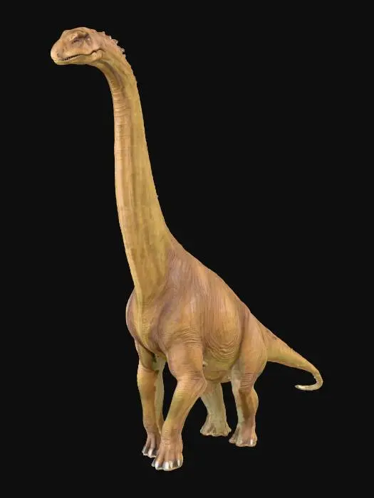 3D model for Brachiosaurus Stance