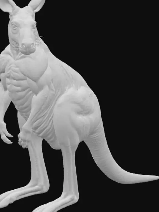 3D model for Muscular Roo