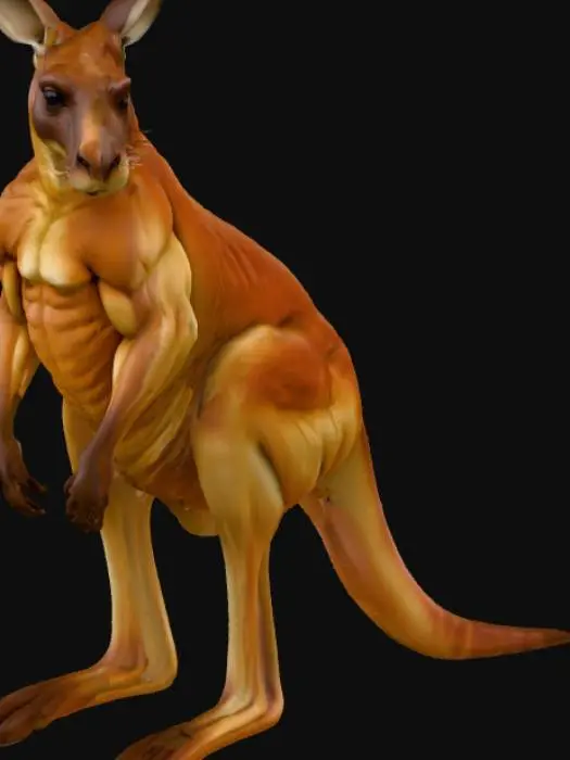 3D model for Muscular Roo