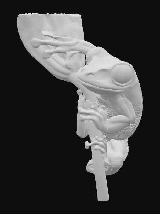 3D model for Climbing Cheer