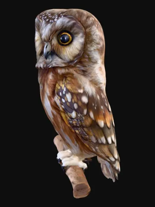 3D model for Owl in the Pines