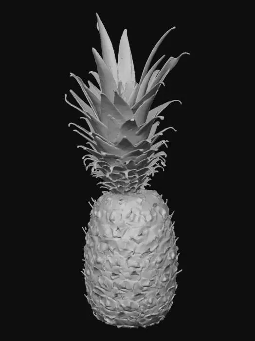 3D model for Pineapple