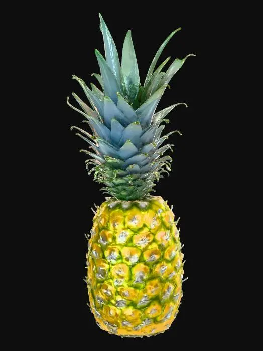 3D model for Pineapple