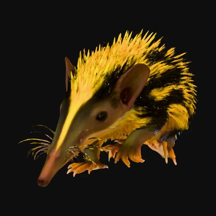 3D model for Echidna Delight