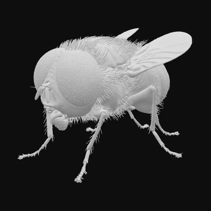 3D model for Colorful Vision