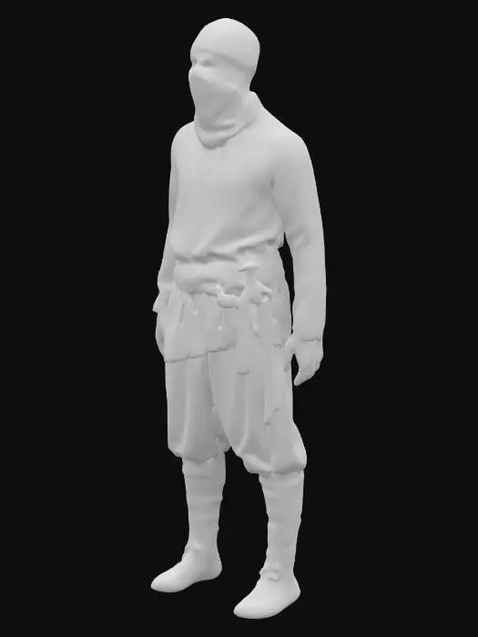 3D model for Silent Shadow Warrior