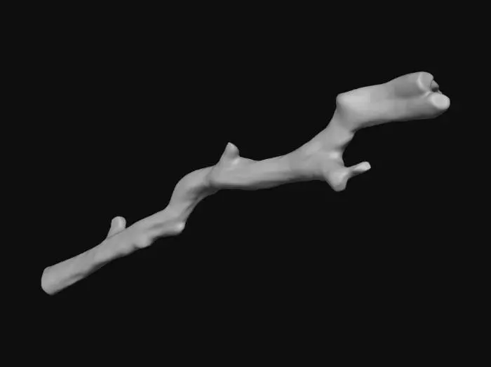 3D model for Branch Essence