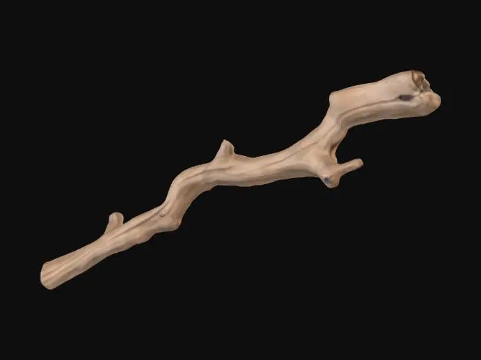 3D model for Branch Essence